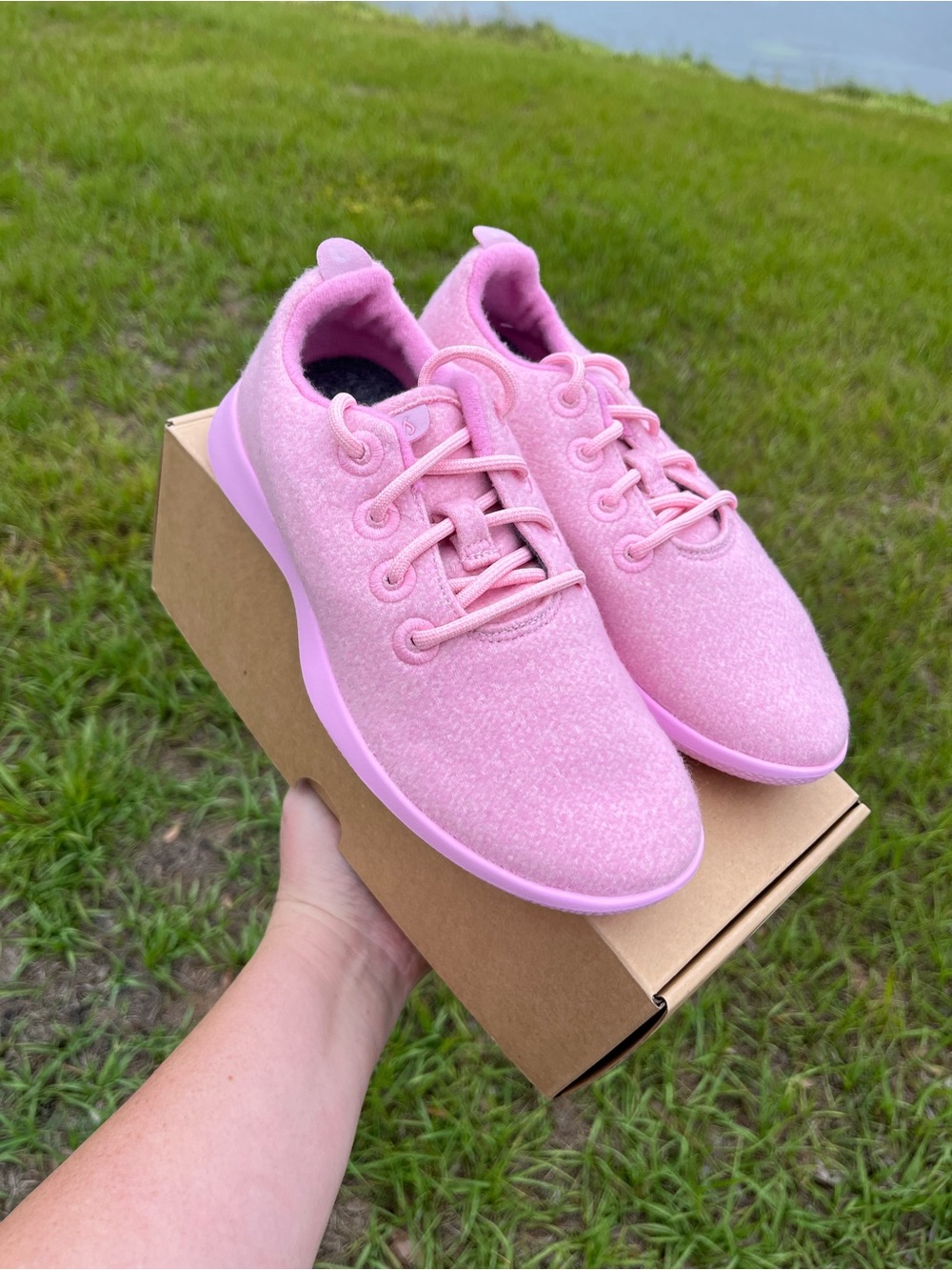 New In Box Allbirds Smallbirds in Buoyant Pink Wool Runner Kids Low Top Size 3Y